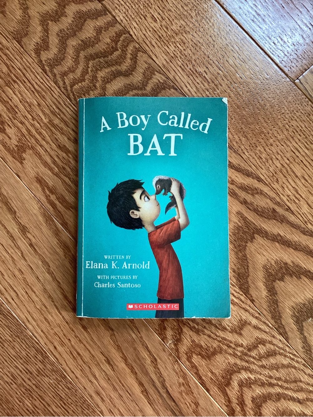 Scholastic A Boy Called BAT by Elana K Arnold Softcover chapter book